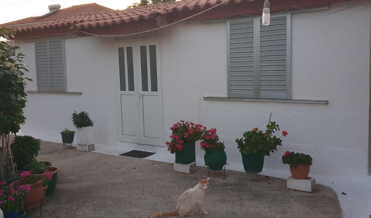 Mitikas Cosy Studio Villa Mytikas  Exterior photo